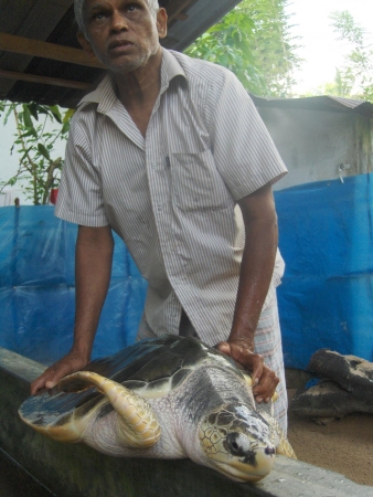 Zdjęcie ze Sri Lanki - 