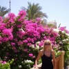 Zdjęcie z Egiptu - Sharm el Sheikh