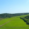 Zdjęcie z Portugalii - pole ryżowe