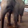 Sri Lanka - Kendy