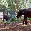 Zdjęcie ze Sri Lanki - 