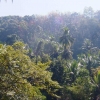 Zdjęcie ze Sri Lanki - 