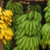 Zdjęcie ze Sri Lanki - 