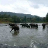 Zdjęcie ze Sri Lanki - 