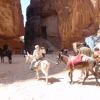 Zdjęcie z Jordanii - 
