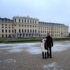 Zdjęcie z Austrii - Schloss Schönbrunn