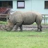 Zdjęcie z Polski - w Zoo