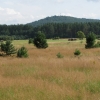 Zdjęcie z Polski - Okolice Smołdzina.