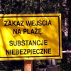 Zdjęcie z Polski - Plaża w Czołpinie.