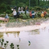 Zdjęcie z Holandii - Madurodam