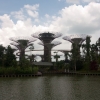 Zdjęcie z Singapuru - SINGAPUR