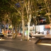 Zdjęcie z Singapuru - SINGAPUR - Orchard Rd.