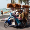 Zdjęcie z Tajlandii - PATTAYA