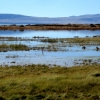 Zdjęcie z Argentyny - Laguna Nimez