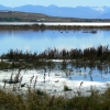 Zdjęcie z Argentyny - Laguna Nimez