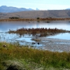 Zdjęcie z Argentyny - Laguna Nimez