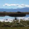 Zdjęcie z Argentyny - Laguna Nimez