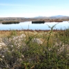 Zdjęcie z Argentyny - Laguna Nimez