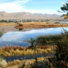 Zdjęcie z Argentyny - Laguna Nimez