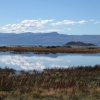 Zdjęcie z Argentyny - Laguna Nimez