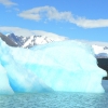 Zdjęcie z Argentyny - Los Glaciares