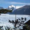 Zdjęcie z Argentyny - Perito Moreno