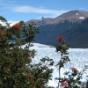 Zdjęcie z Argentyny - Perito Moreno