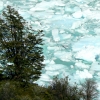 Zdjęcie z Argentyny - Lodowiec Perito Moreno