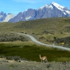 Zdjęcie z Chile - Torres del Paine