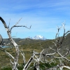 Zdjęcie z Chile - Torres del Paine