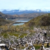 Zdjęcie z Chile - Torres del Paine