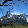 Zdjęcie z Chile - Torres del Paine