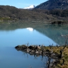 Zdjęcie z Chile - Torres del Paine