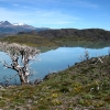 Zdjęcie z Chile - Torres del Paine