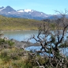 Zdjęcie z Chile - Torres del Paine