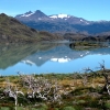 Zdjęcie z Chile - Torres del Paine