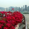 Zdjęcie z Chińskiej Republiki Ludowej - HONG KONG