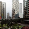 Zdjęcie z Chińskiej Republiki Ludowej - HONG KONG