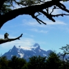 Zdjęcie z Chile - Torres del Paine