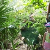 Zdjęcie z Meksyku - Park XCaret