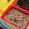 Zdjęcie z Korei Południowej - PUSAN