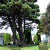 Zdjęcie z Chile - Punta Arenas