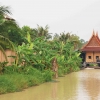 Zdjęcie z Tajlandii - Plywajacy Targ w Pattaya