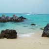 Koh Larn - rafy koralowe