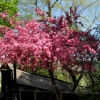kolory wiosny - Zdjęcie kolory wiosny