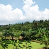 Zdjęcie z Indonezji - 
