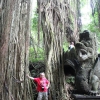 Zdjęcie z Indonezji - Monkey Forest-