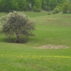 Zdjęcie ze Słowacji - Plesivska Planina.