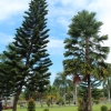 Zdjęcie z Indonezji - Ujung
