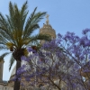 Zdjęcie z Malty - Valletta
